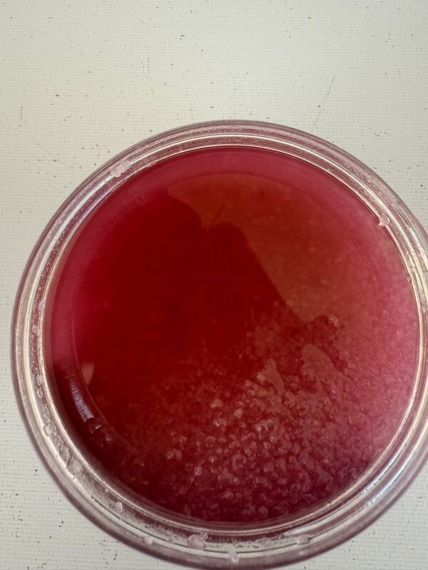 Grain de séduction – Image 2